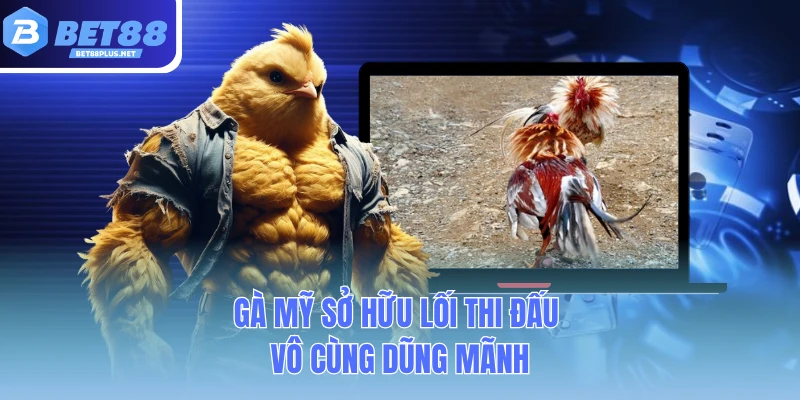 ga my so huu loi thi dau vo cung dung manh