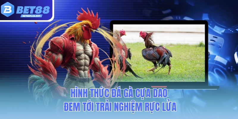 hinh thuc da ga cua dao dem toi trai nghiem ruc lua